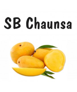 CHAUNSA MULTANI FRESH MANGO