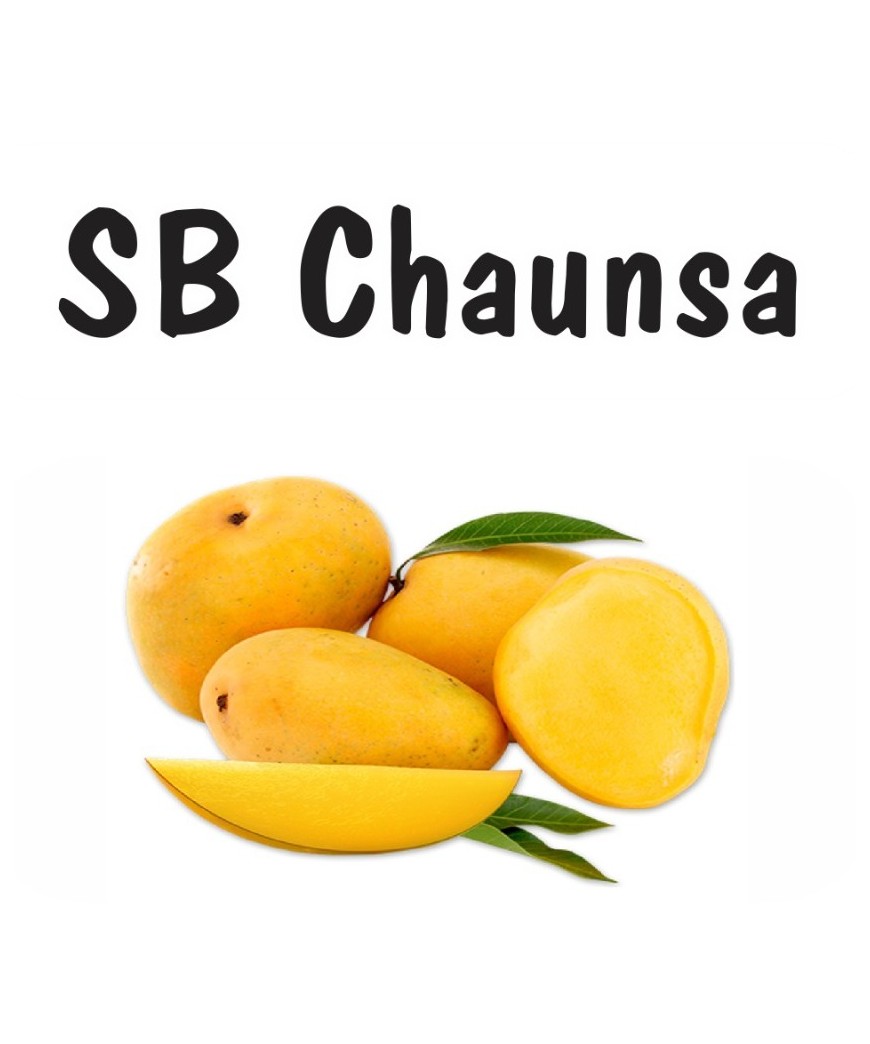 CHAUNSA MULTANI FRESH MANGO