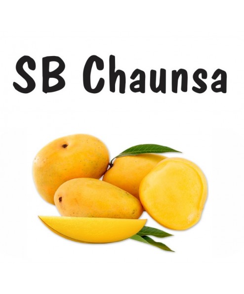 CHAUNSA MULTANI FRESH MANGO